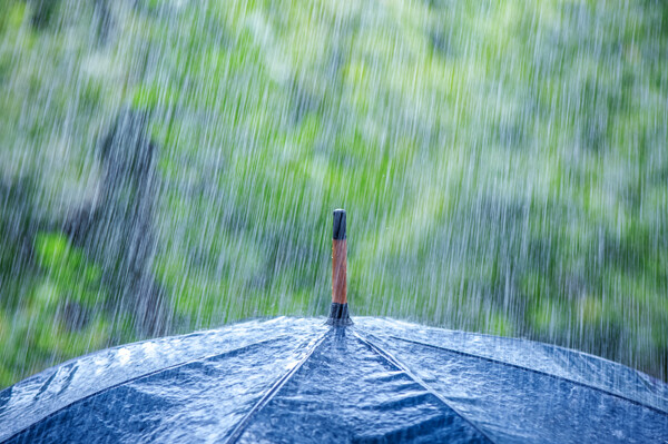 雨