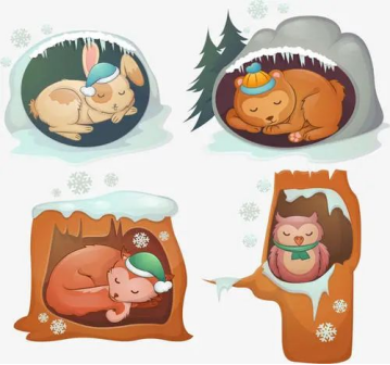 什么是动物冬眠？