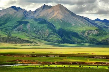  西藏羌塘草原--中国五大牧场之一