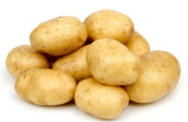 薯类--根茎类