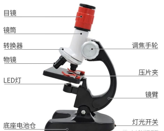 显微镜的原理